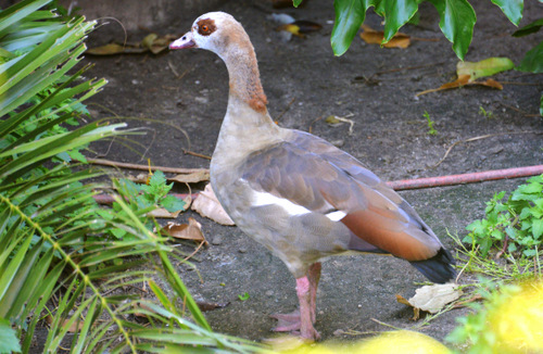 World of Birds Wildlife Sanctuary.